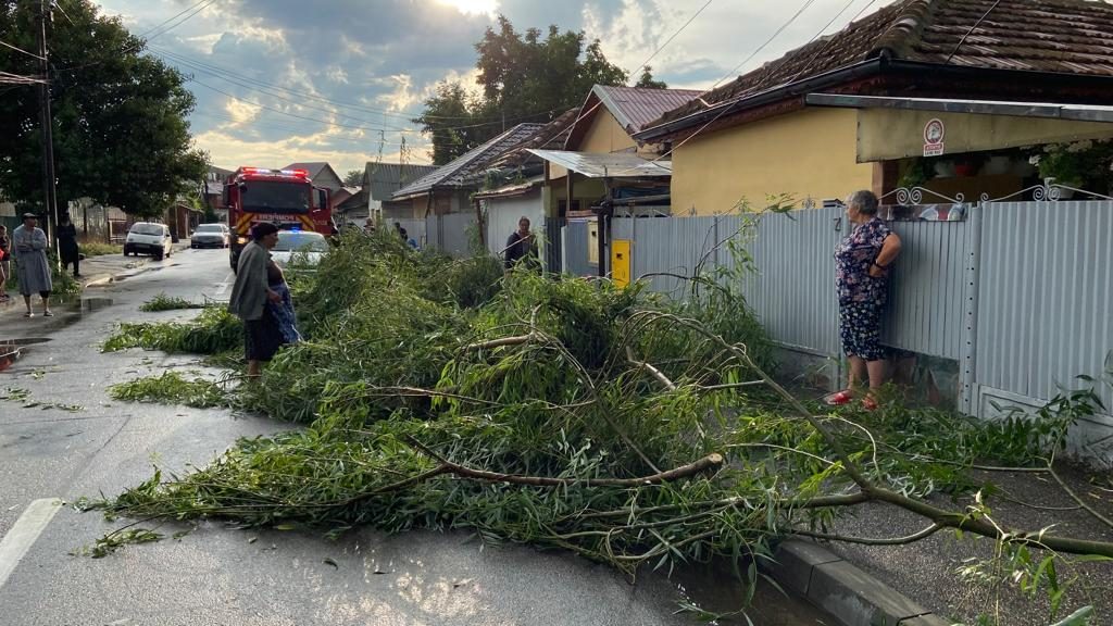 (VIDEO&FOTO)Ploaia face prăpăd! Trei copaci secerați concomitent