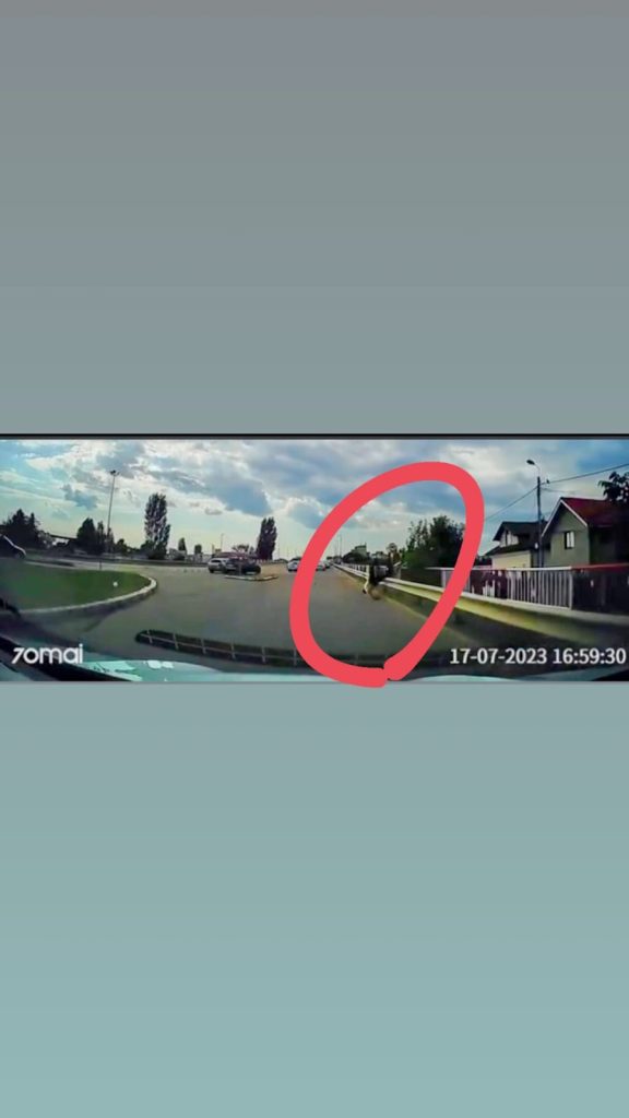 Un biciclist a ”zburat” direct pe șosea, în fața unei mașini. Momentul, surprins de o cameră de bord
