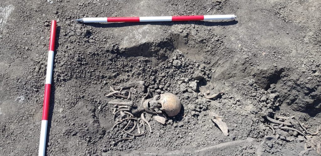 Cel mai mare cimitir medieval din zona Buzăului, la mică distanță de autostradă. Ce descoperiri s-au făcut