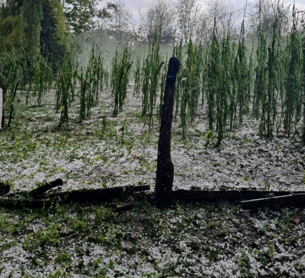(FOTO) Dezastru după furtuna de cod portocaliu. Grindina a distrus tot ce a întâlnit în cale