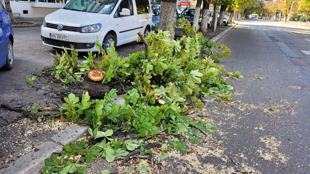 (Video) Primele probleme din cauza vântului puternic. Pompierii intervin pe Unirii