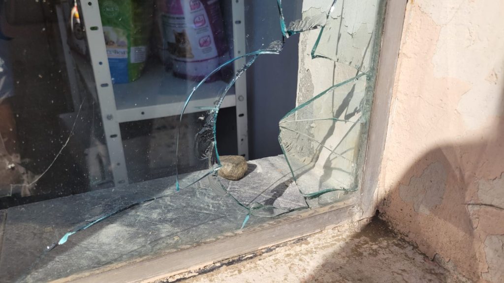 (FOTO&VIDEO) Mister într-o farmacie veterinară din Buzău! Cum a ajuns o piatră ”zburătoare” lângă medicamente și creme