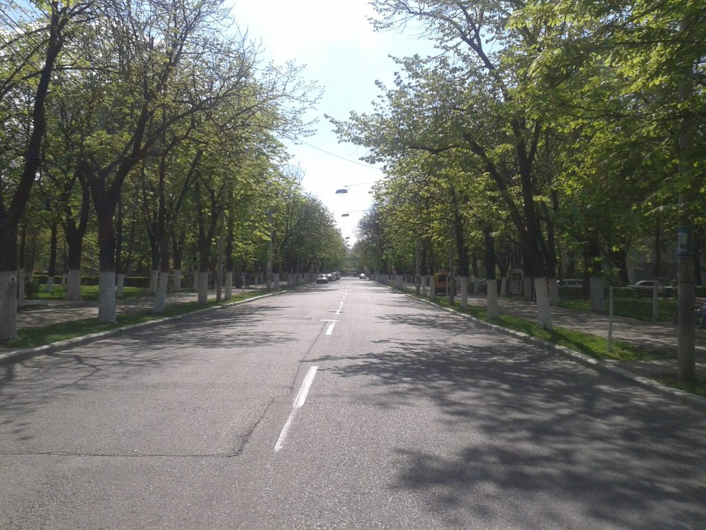 Bulevardul cu castani ar putea deveni istorie. În câțiva ani, arborii de pe Bălcescu vor fi înlocuiți cu alte specii