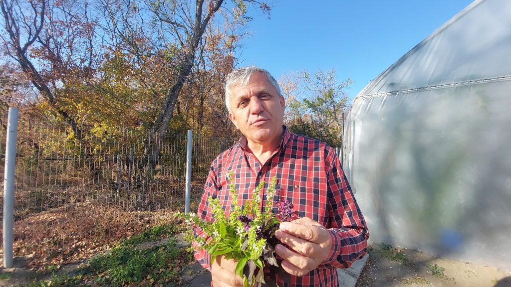 (Video) Ingredientul minune care păstrează murăturile 6 ani. Este natural și înlocuiește conservantul