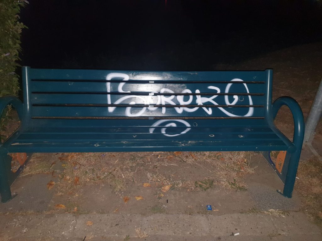 Trei elevi, amendați pentru vandalism. Cum și-au explicat faptele