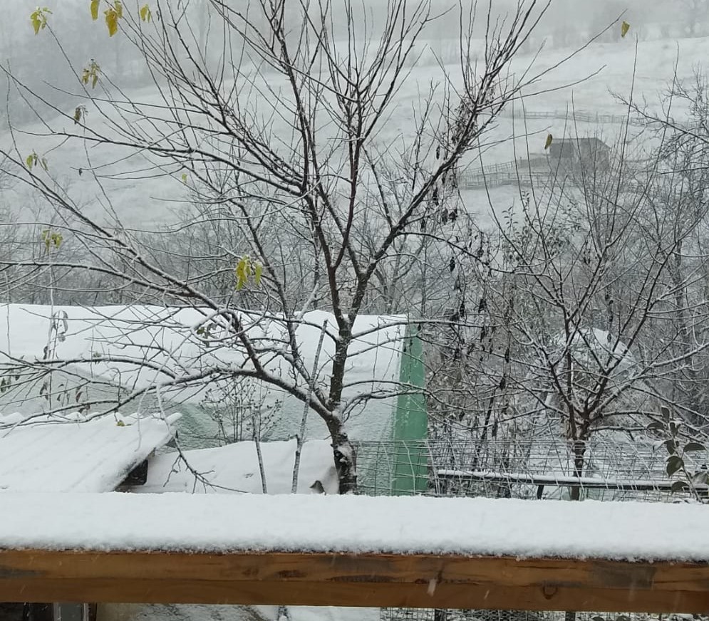 (FOTO) Peisaj de iarnă în nordul județului. S-a așternut primul strat de zăpadă din acest sezon