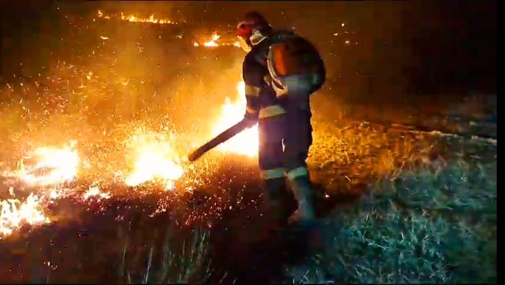 Incendiile de vegetație, o amenințare anonimă? Ce măsuri se impun și ce amenzi se dau