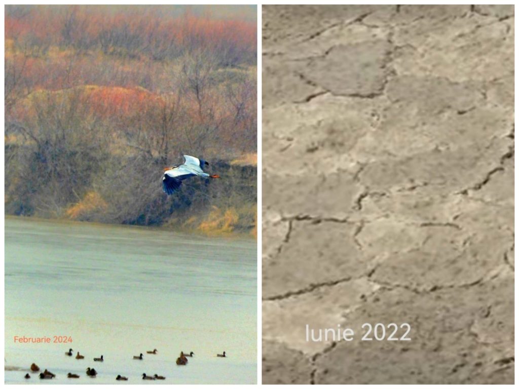 (VIDEO&FOTO) Imaginile care dau speranță! Lacul Amara, secat complet anul trecut, prinde din nou contur