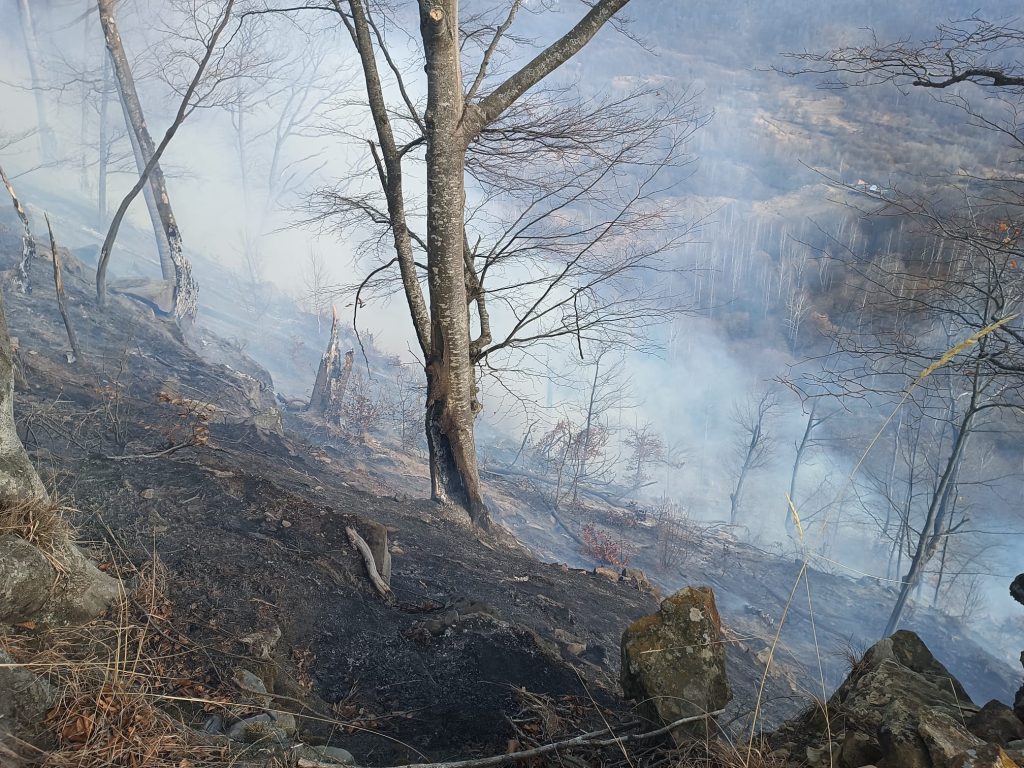 (FOTO) Incendiu violent! Intervenția pompierilor, îngreunată de vântul puternic și zona greu accesibilă