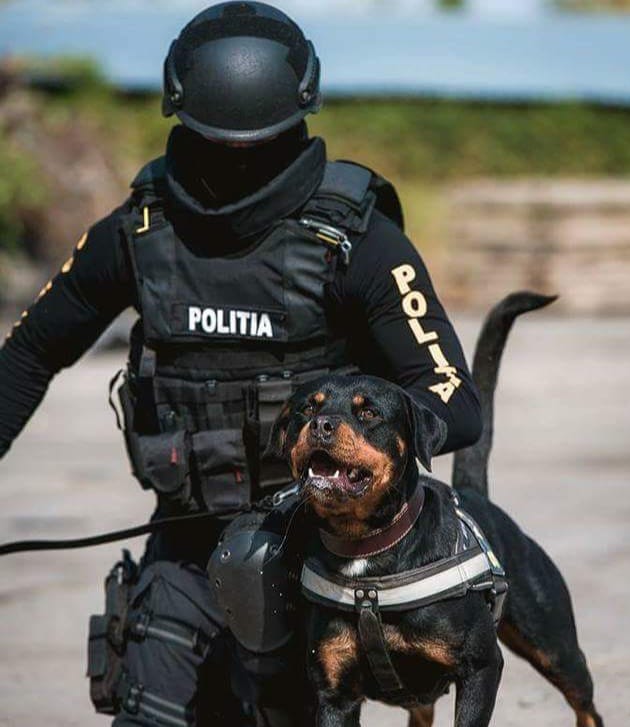Angajări în Poliție. Ce post este scos la concurs