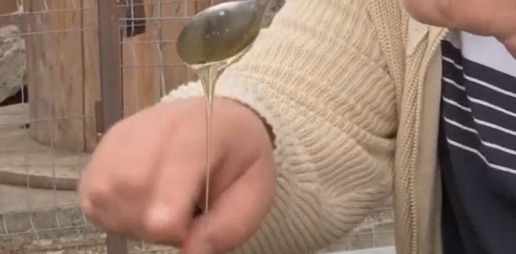 (Video) ”Firul infinit”, testul pe care nu îl trece mierea falsificată. Iată secretul dezvăluit de un medic din Buzău