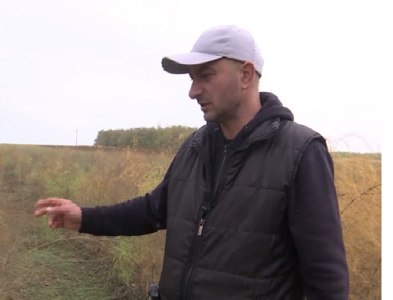 (Video) Leguma momentului. Un buzoian o cultivă de ani buni și a dat lovitura. Este numită ”hrana regilor”