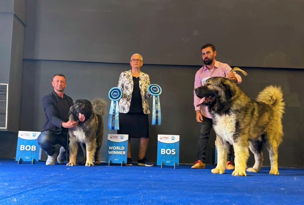 (FOTO) Câinii unui buzoian, campioni mondiali ai rasei lor! „E maximul pe care puteam să-l câștig, însă nu mă opresc aici!”
