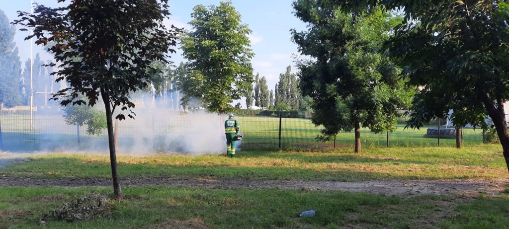 (P) Comunicat de presă-RER SUD-prima etapă de dezinsecție la sol pe domeniul public