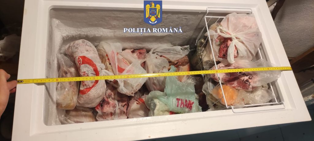 (FOTO) Zeci de kilograme de carne de vânat, ridicate de polițiști direct din congelatoarele unor buzoieni