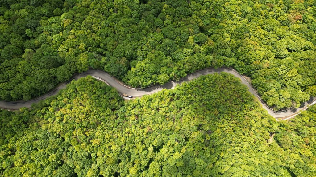 Promovare inedită a Geoparcului Ținutul Buzăului: ”…s-a descărcat puțin de supărare”