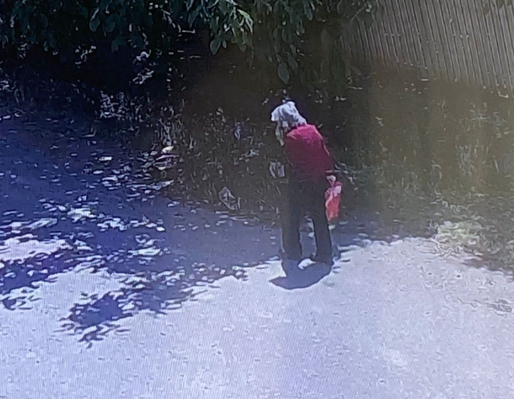 Primele imagini cu fosta învățătoare din Zărnești, dispărută de 5 zile. Unde a fost observată bătrâna