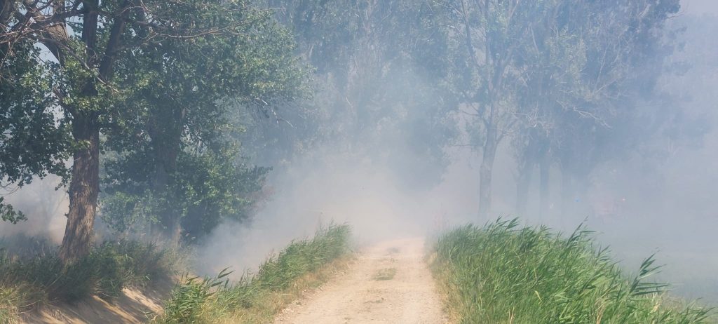 Incendiu în apropierea unei ferme. Pompierii se luptă cu flăcările