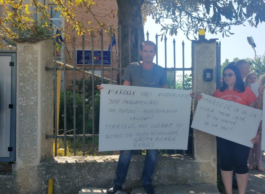 Medicii veterinari dau start protestelor. Se poate ajunge la blocarea activității