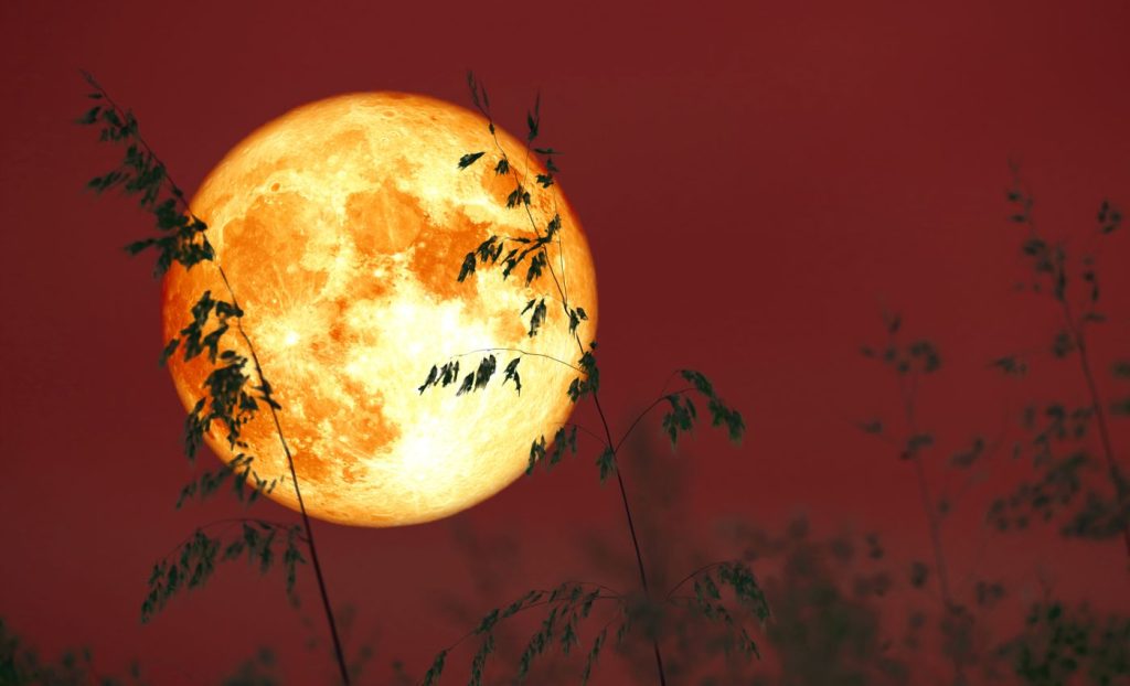 18 septembrie: Eclipsă de lună și lună plină în Pești