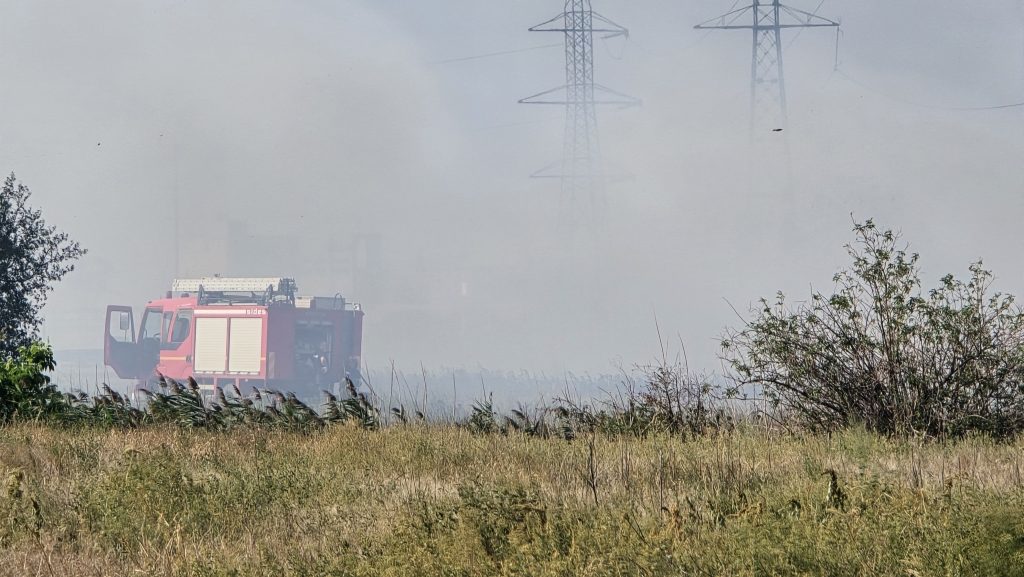 (UPDATE) Incendiu în apropierea unei ferme. Pompierii se luptă cu flăcările