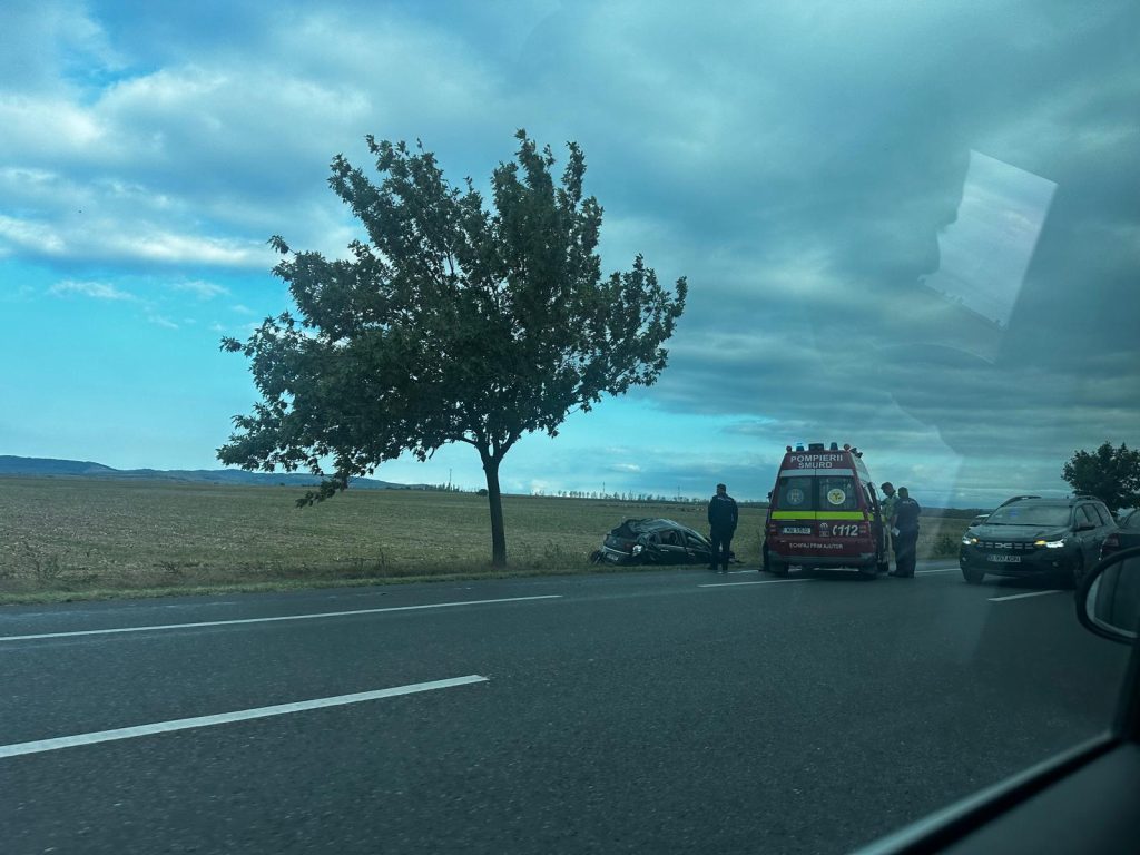 Accident provocat de un câine pe DN2. O mașină a fost făcută praf