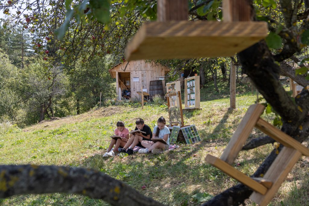 Ore de biologie și științe, în aer liber. Proiectul inedit de la Bisoca