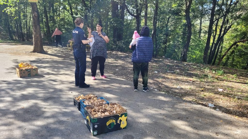 Nu cumpărați ciuperci de la vânzătorii ambulanți! Ce acțiuni s-au desfășurat astăzi pe DN 10