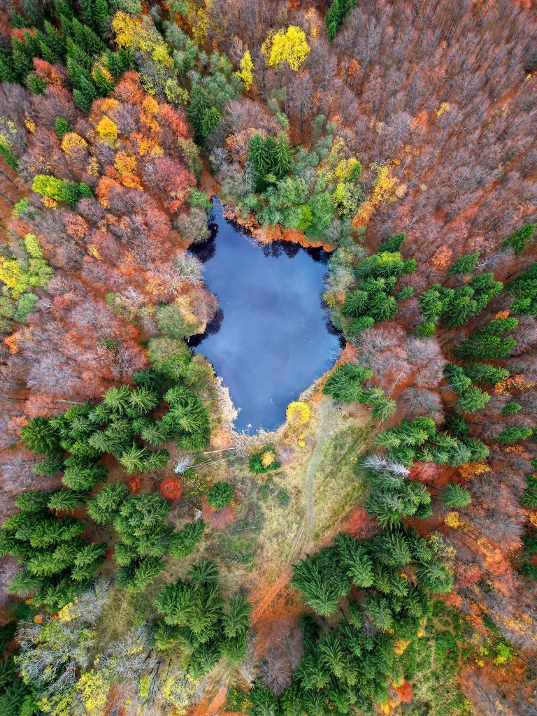 Cum ajungi la „Lacul Tâlharilor”? Destinația este una superbă, însă bine ascunsă