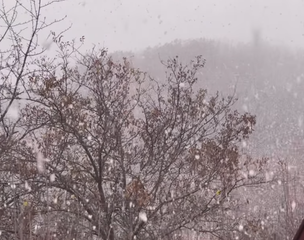 (FOTO&VIDEO) Ninge ca-n povești! Vezi, AICI, unde
