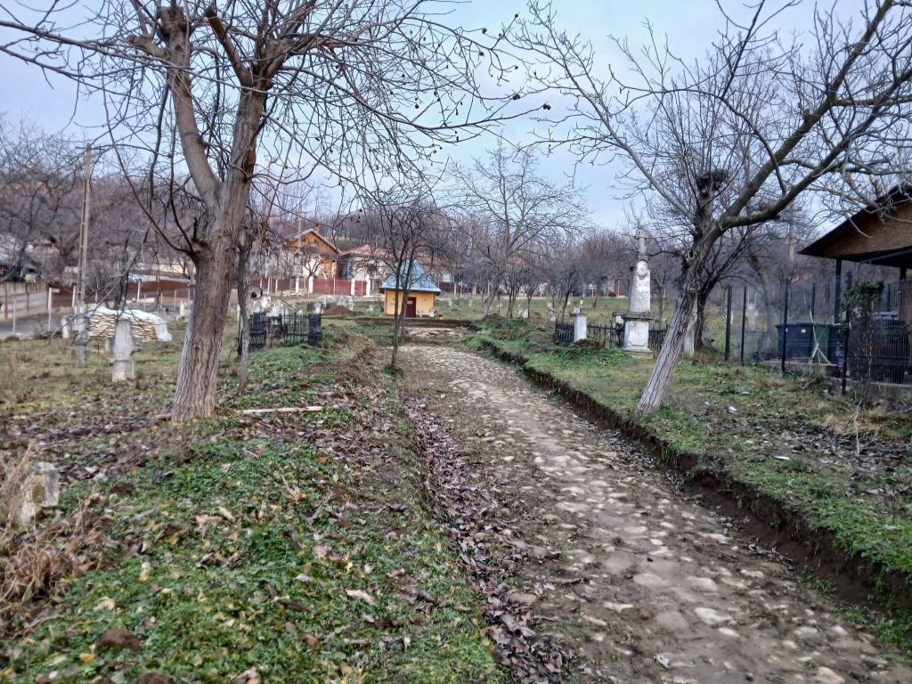 Istoria, scoasă la lumină. În ce stadiu se află cimitirul Merei, viitor hub cultural regional