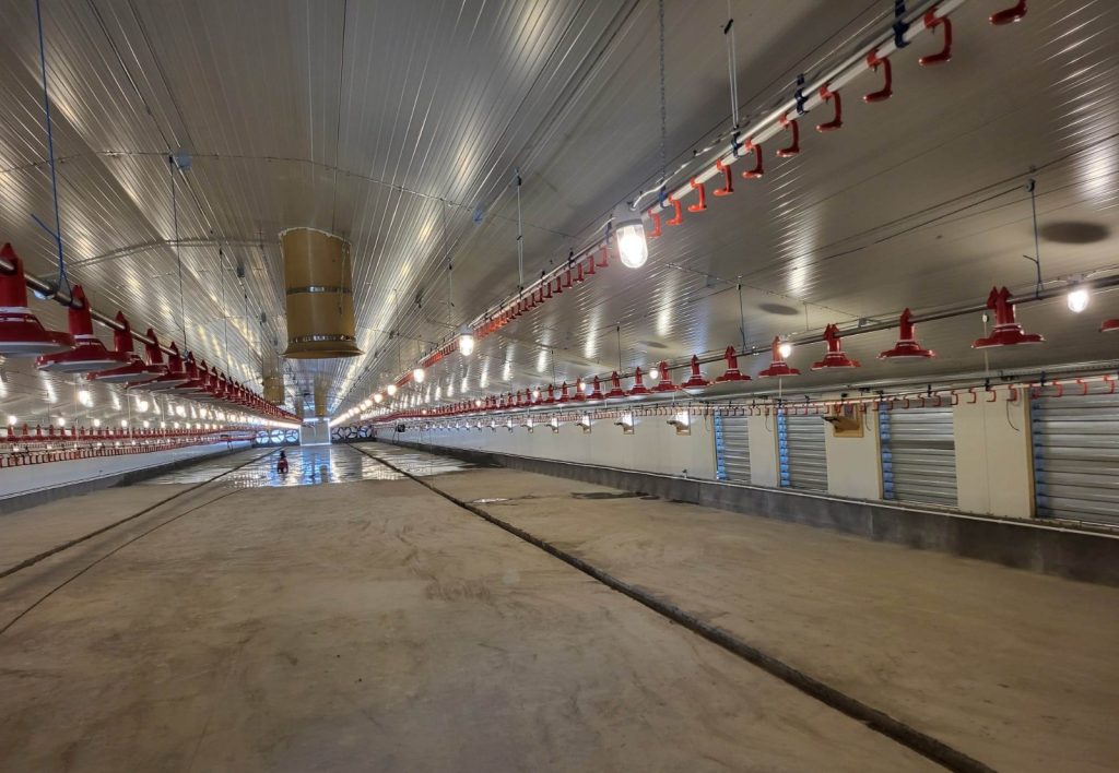 (Video) Fermă de păsări, inaugurată la Buzău. Județul este fruntaș după efectivul de păsări. Exportă și în Cuba
