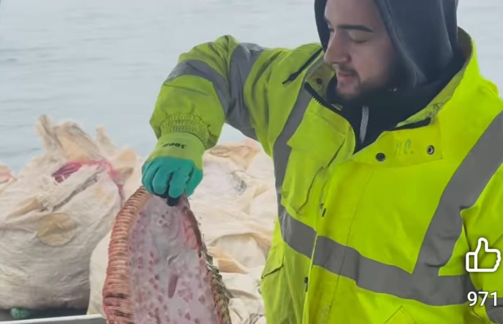 (Video) Pește din Marea Neagră adus direct într-o pescărie din Buzău