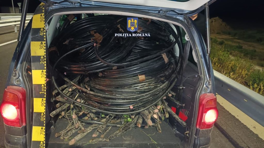 Brăileni prinși la furat în Buzău, reținuți după ce au fost găsiți de polițiștii buzoieni cu 500 kg de cabluri electrice