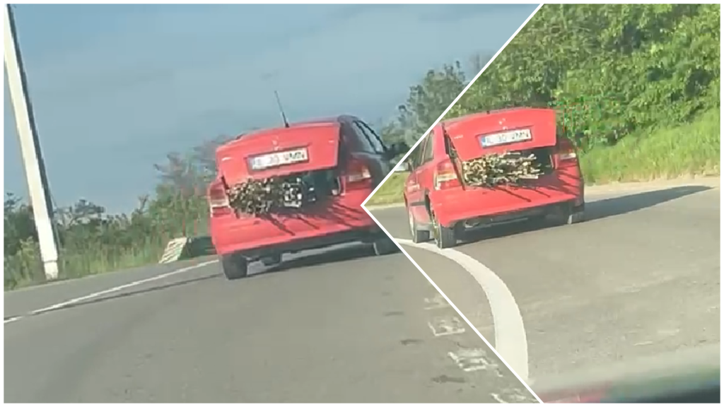 (UPDATE) Polițiștii au sancționat șoferul care transporta un copil în portbagajul plin cu lemne, pe DN10. Incredibil ce au aflat oamenii legii