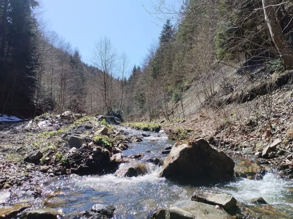 (FOTO&VIDEO) Destinații naturale spectaculoase de explorat în județul Vrancea