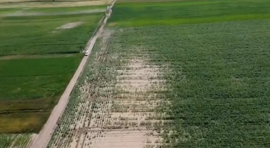 Câini de urmă, drone și zeci de voluntari mobilizați în căutarea bărbatului din Smeeni, dispărut fără urmă