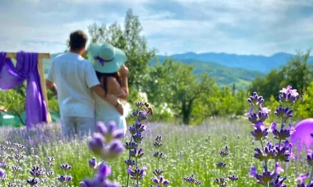 (FOTO) Lavanda, planta care îți asigură peisaje de vis, relaxare, dar și o limonadă cu gust intens de vară