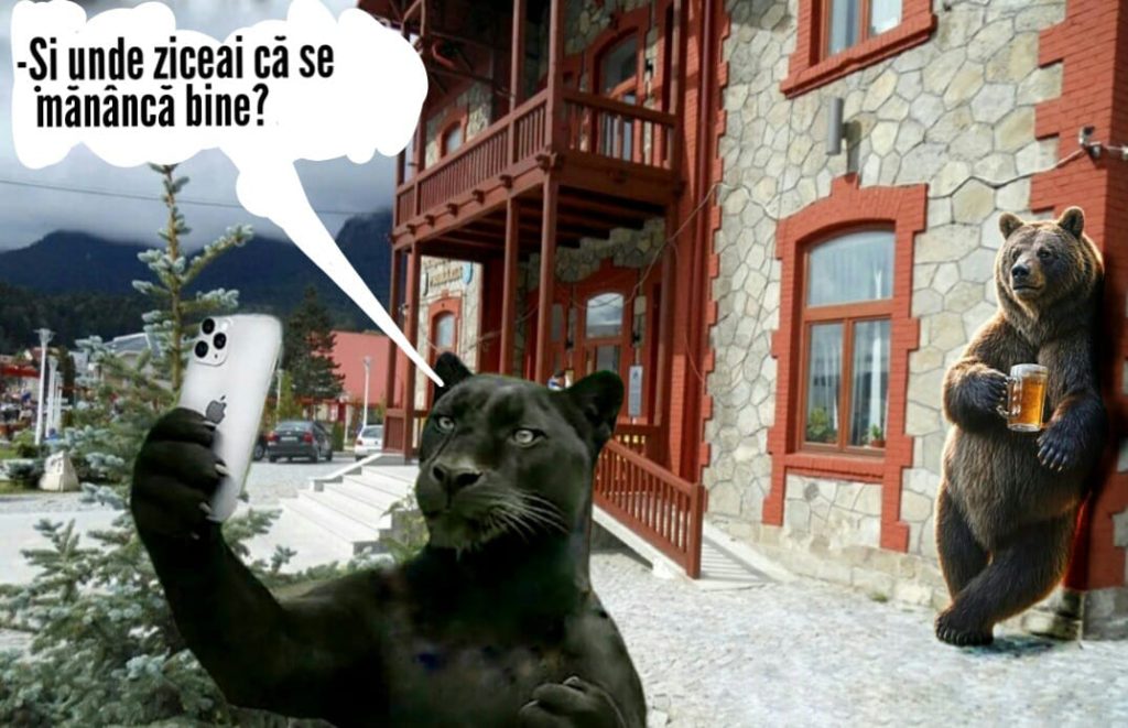 (FOTO) Pantera Neagră, regina meme-urilor: cum a luat România la pas (virtual), de la Giurgiu la Buzău și mai departe