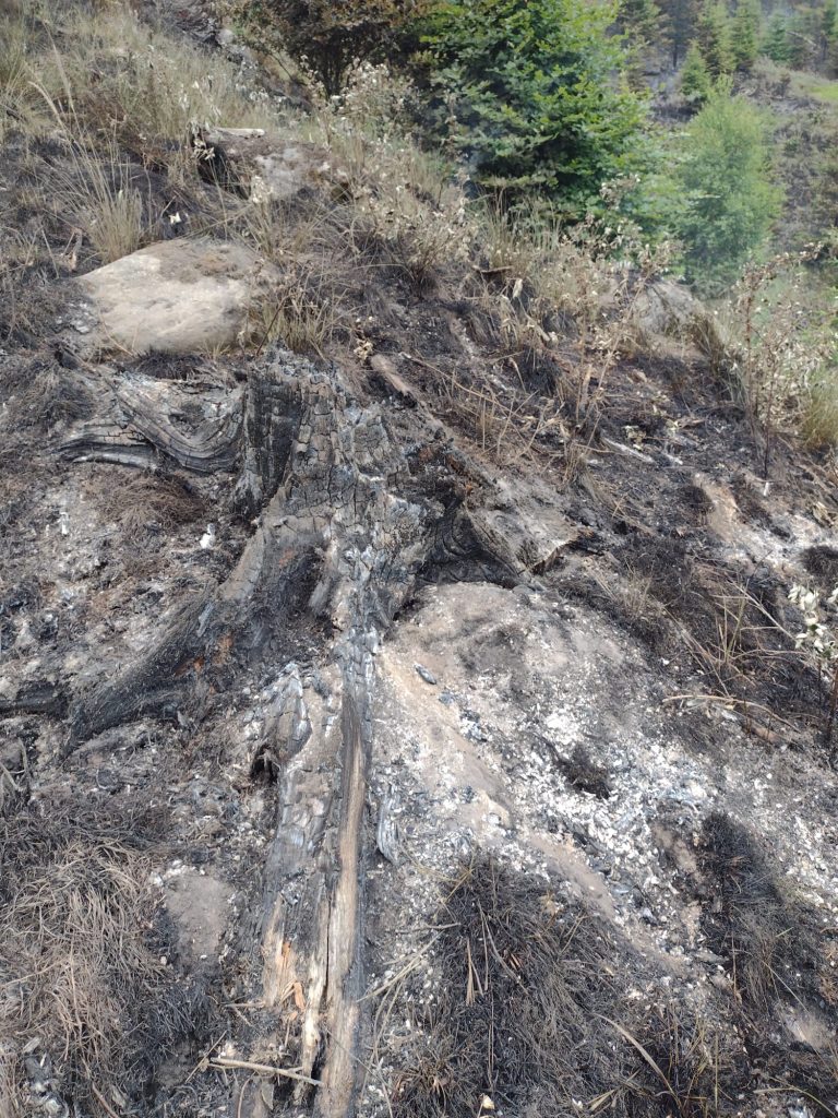 (Galerie Foto) Urmările incendiului din Masivul Penteleu. Imagini după stingerea flăcărilor