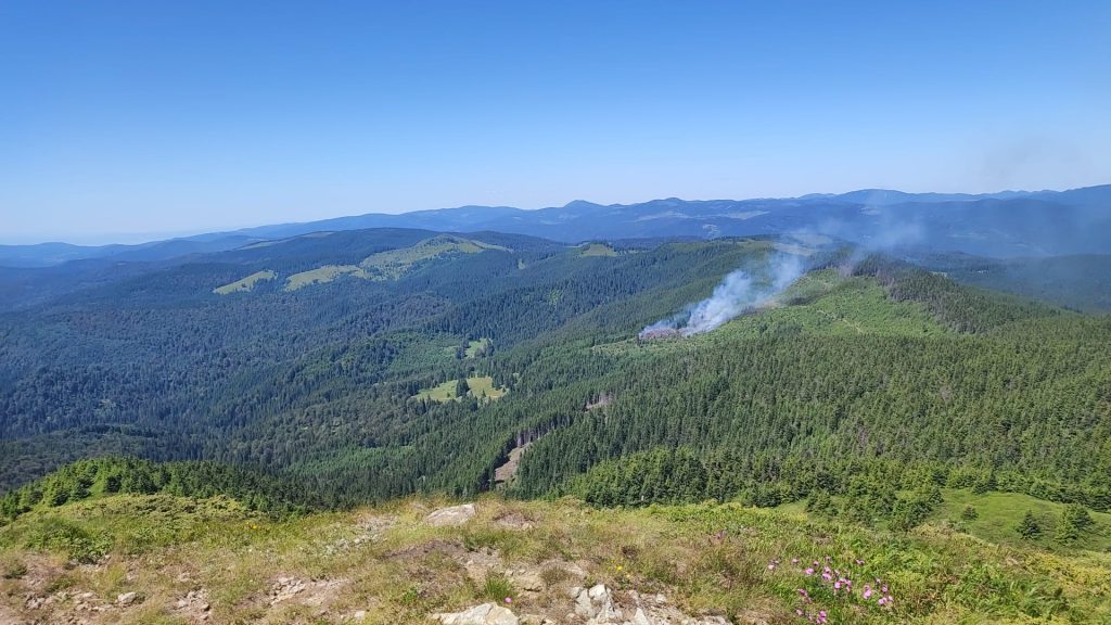 Au apărat pădurea de flăcări! Incendiul din Masivul Penteleu, aproape lichidat