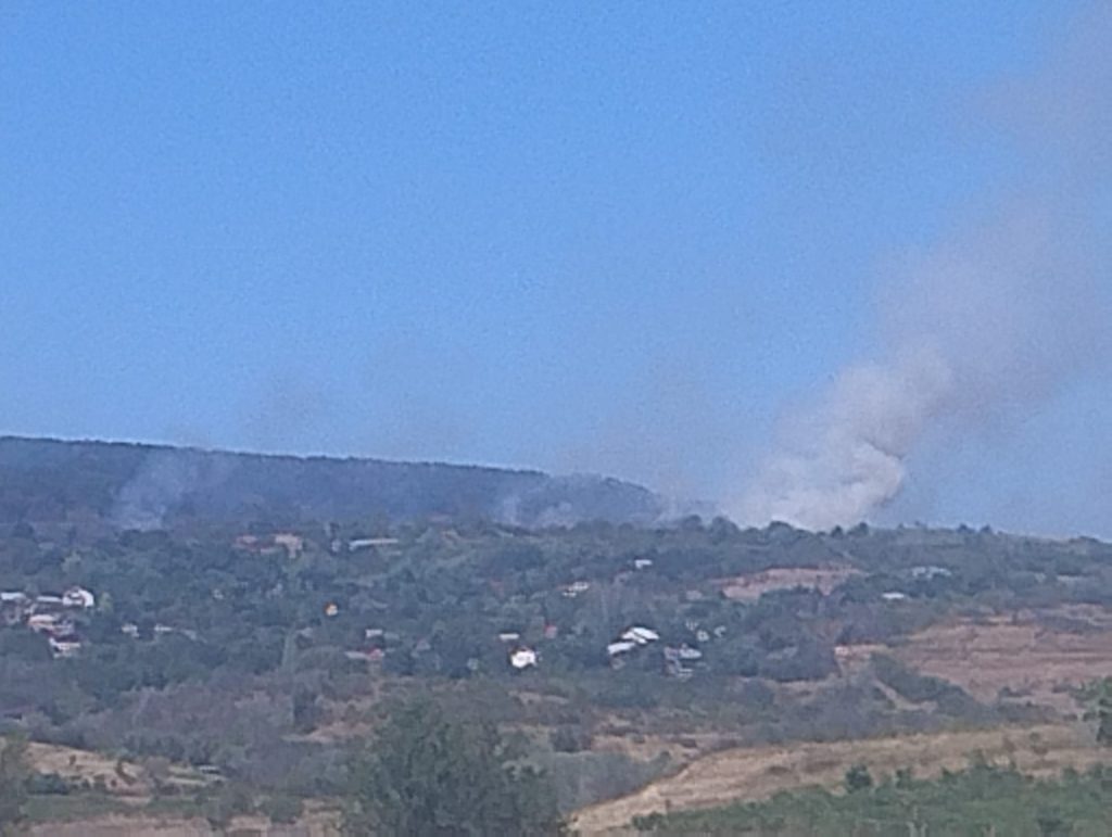 (FOTO) Alertă! Incendiu de vegetație care amenință pădurea și casele oamenilor