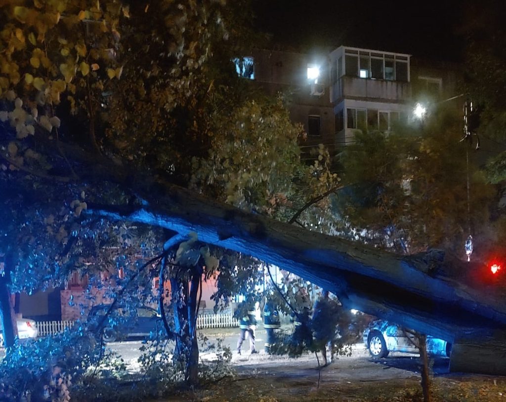 A început furtuna! Copac doborât de vânt în orașul Buzău