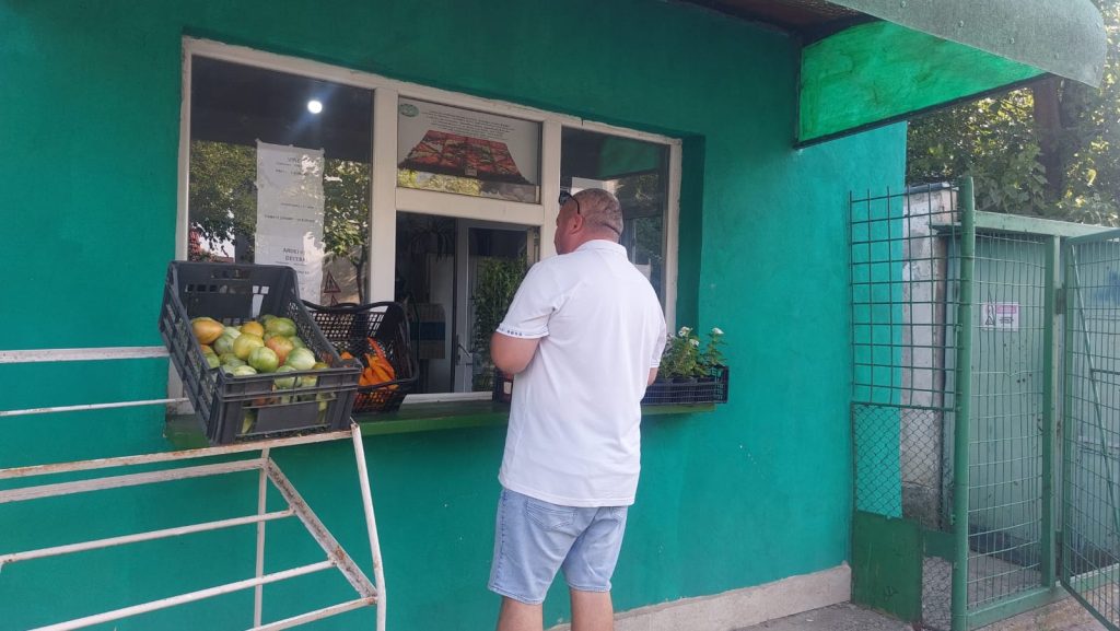 (Video) Legume pentru murături, la magazinul Stațiunii de Cercetare! Ardeiul de tip ”cornul caprei”, vedeta din cămară