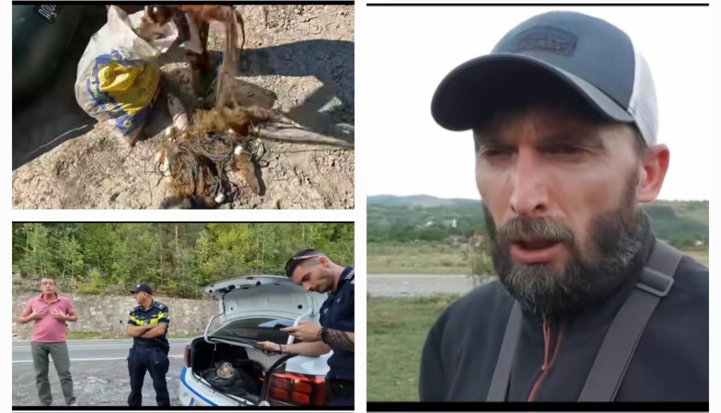 Un pescar demască mafia braconierilor de la Barajul Siriu. ”Este tragic! Se mănâncă pește până la cel mai înalt nivel”