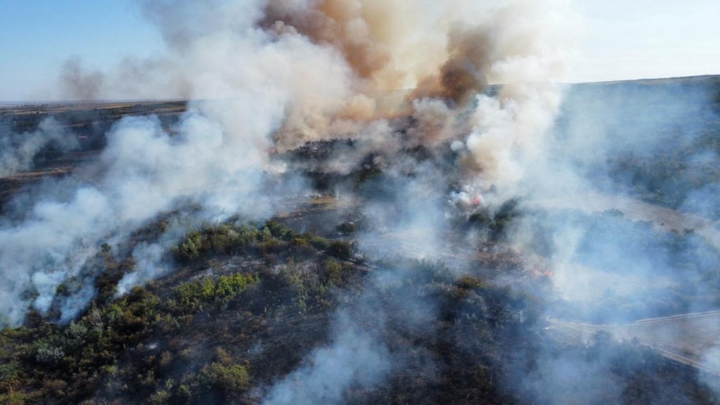 (FOTO&VIDEO) Cauza incendiului de proporții de la Topliceni, care a mistuit 80 ha de vegetație. Apelul pompierilor