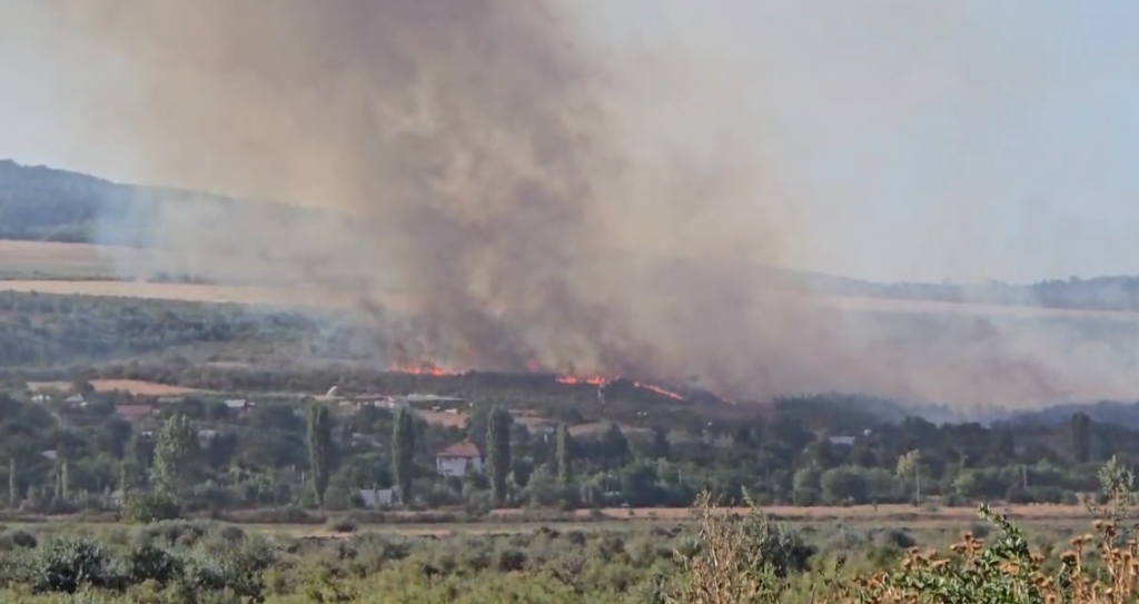 BREAKING NEWS! Misiune contracronometru la Topliceni. Incendiu de amploare aproape de casele oamenilor