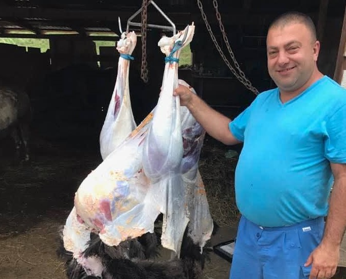 DEZVĂLUIRI! Veterinarul Adrian Popa, un doctor Mengele pus șef peste Padocul Buzău. L-a transformat într-un lagăr de exterminare al câinilor fără stăpân. Experimente barbare( foto, video care vă pot afecta emoțional). Primăria, complice