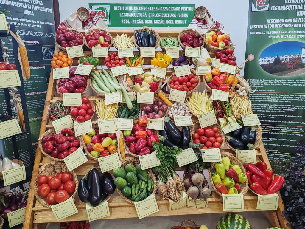 Angajări la Experimentală! Trei posturi, scoase la concurs