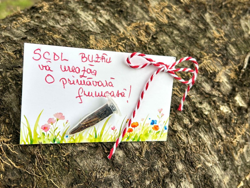 Mărțișoare care înfloresc. Cercetătorii buzoieni au adus primăvara în centrul orașului